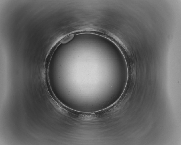 X0000116681460200912141422