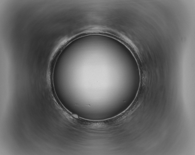 X0000116681464200912141422