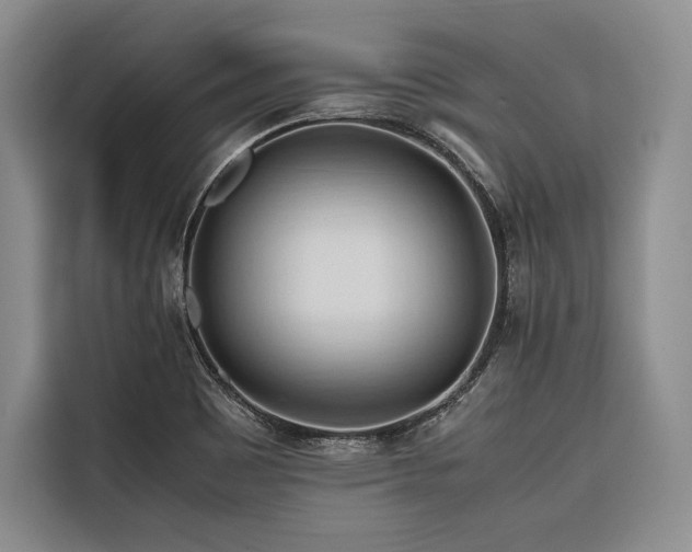 X0000116681465200912141422