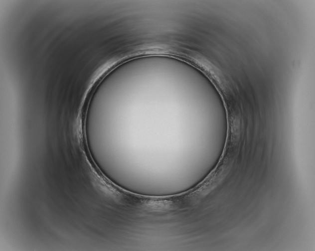 X0000116681466200912141422