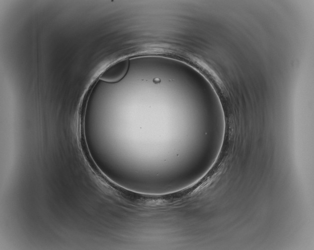 X0000116681467200912141422