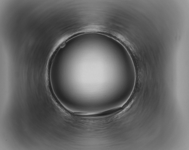 X0000116681469200912141422