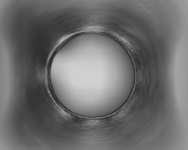 X0000116681470200912141422