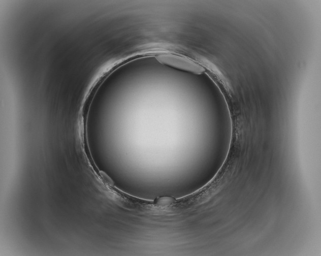 X0000116681472200912141422