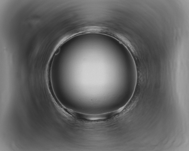 X0000116681475200912141422