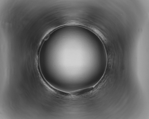 X0000116681476200912141422