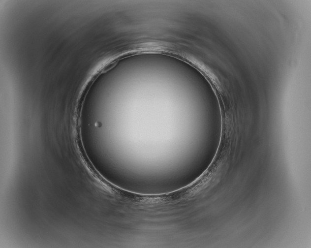 X0000116681477200912141422