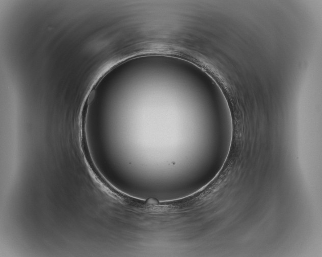 X0000116681479200912141422