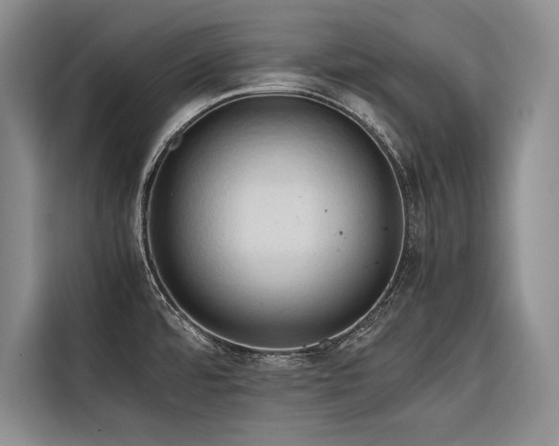 X0000116681480200912141422