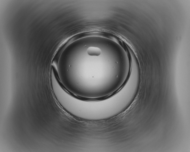 X0000116681481200912141422