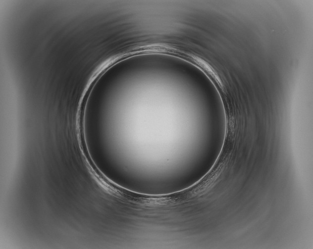 X0000116681482200912141422
