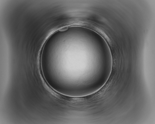 X0000116681483200912141422