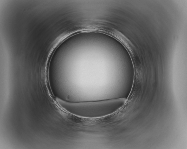 X0000116681485200912141422