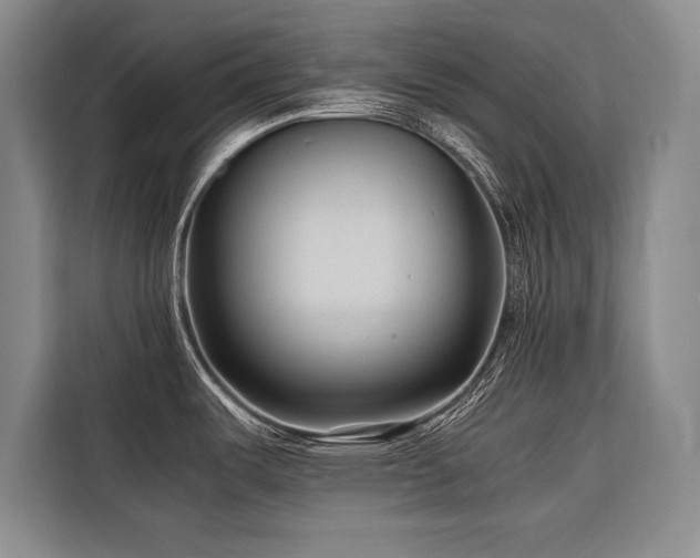 X0000116681487200912141422