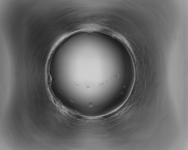 X0000116681488200912141422