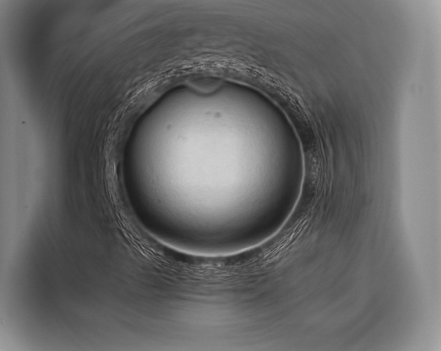 X0000116681489200912141421