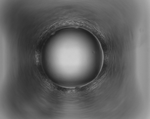 X0000116681490200912141421