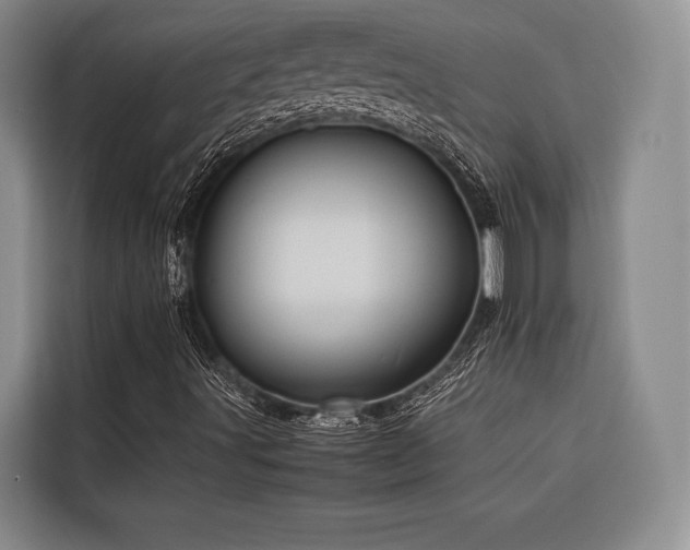X0000116681491200912141421