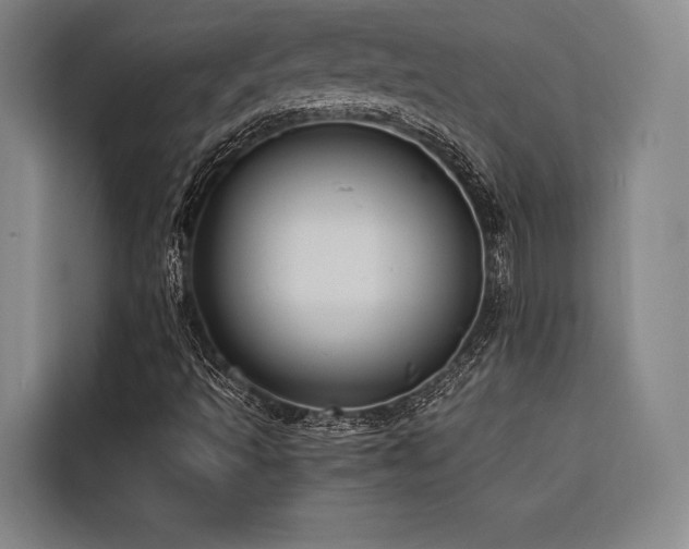 X0000116681493200912141421