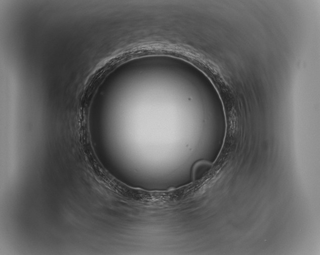X0000116681494200912141421