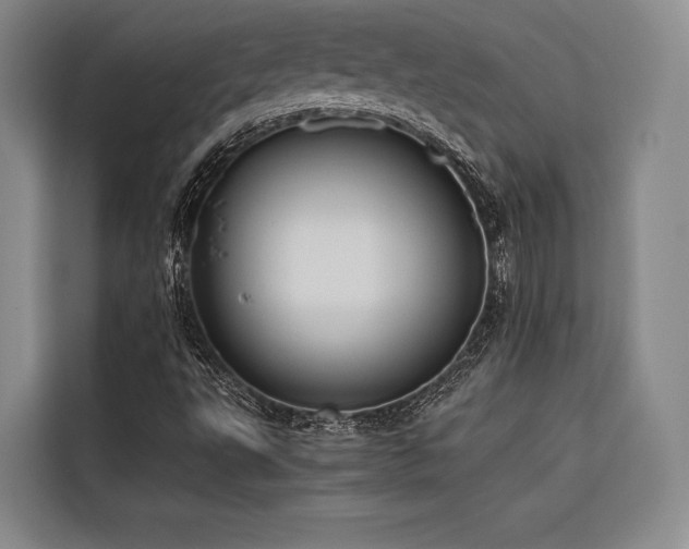 X0000116681495200912141421