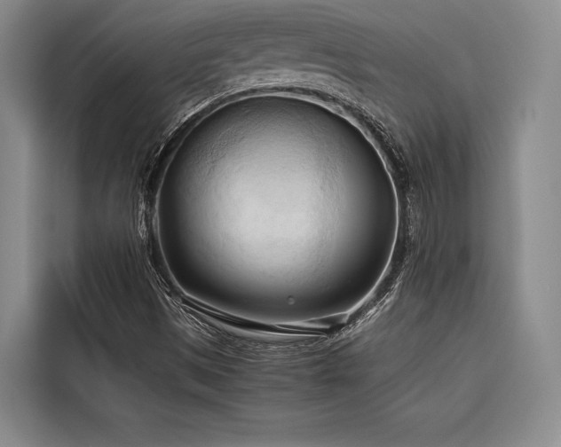 X0000116681497200912141421