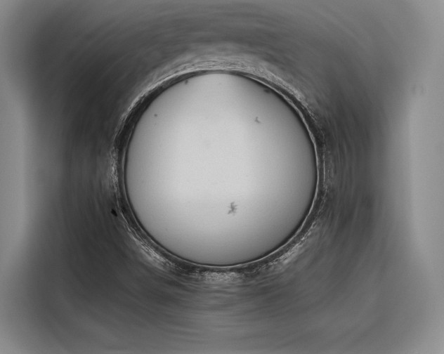 X0000116681498200912141421