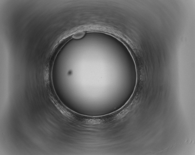 X0000116681499200912141421