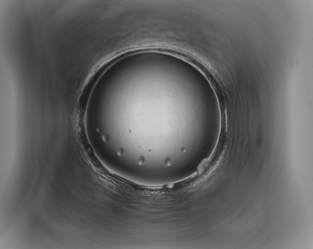 X0000116681501200912141421