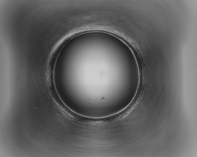 X0000116681502200912141421