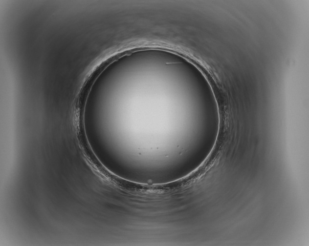 X0000116681503200912141421
