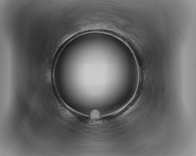 X0000116681505200912141421