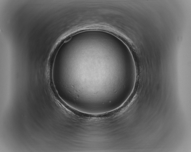 X0000116681506200912141421