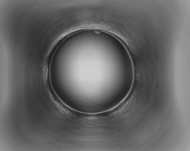 X0000116681507200912141421