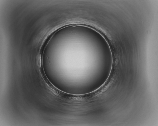 X0000116681509200912141421