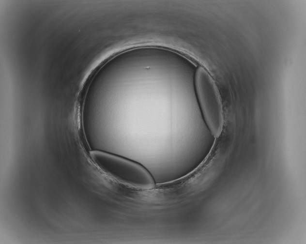 X0000116681510200912141421