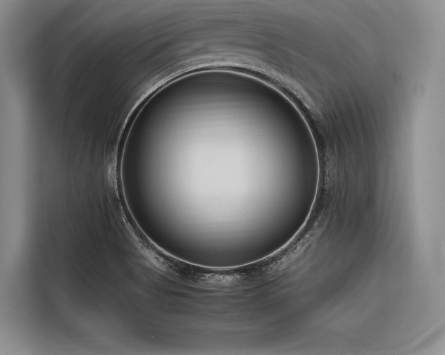 X0000116681513200912141421