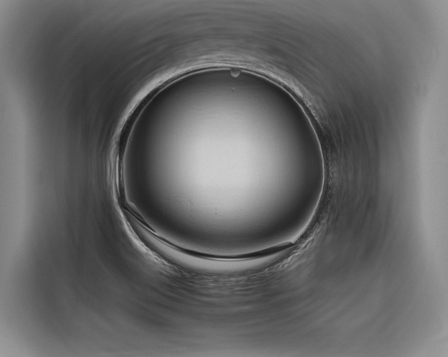 X0000116681515200912141421