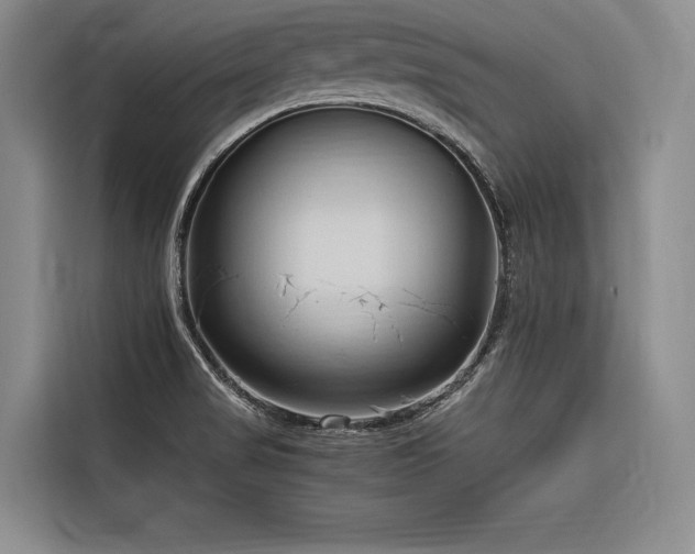 X0000116681517200912141421