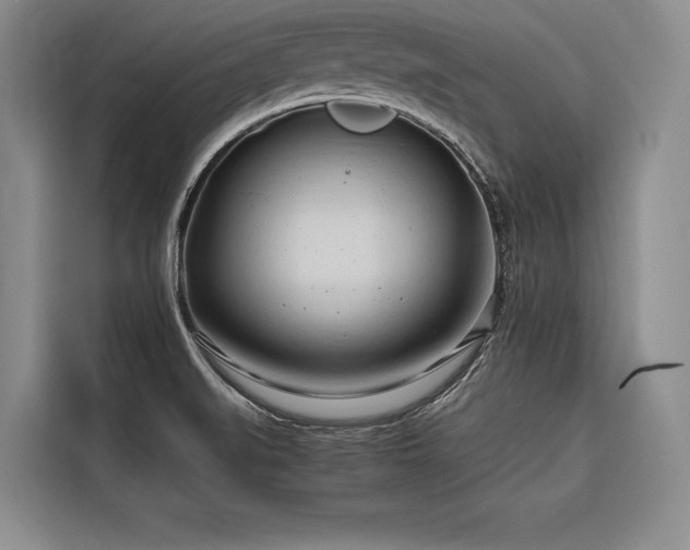 X0000116681519200912141421