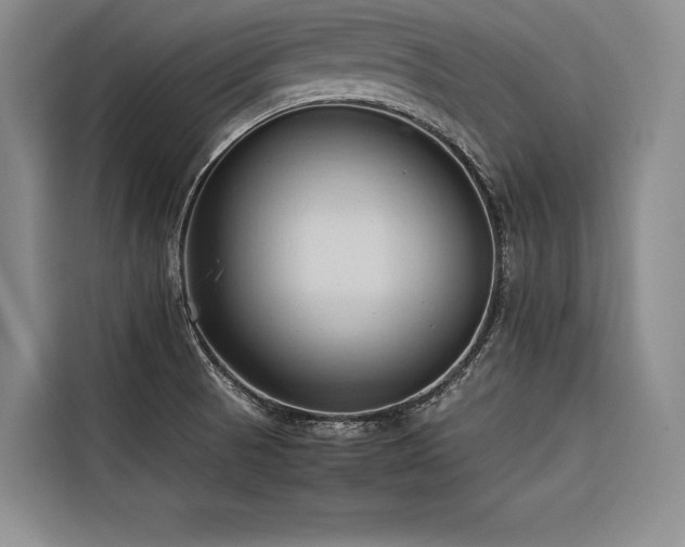 X0000116681521200912141421