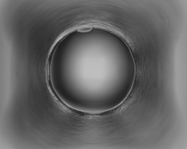 X0000116681522200912141421