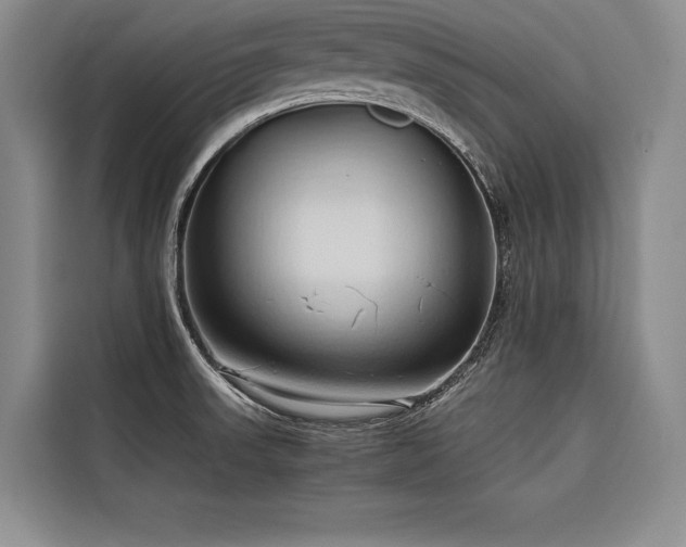 X0000116681523200912141421