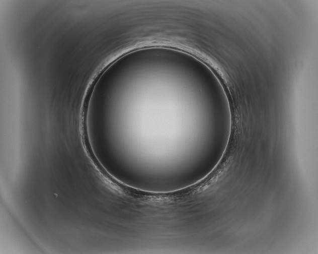 X0000116681525200912141421