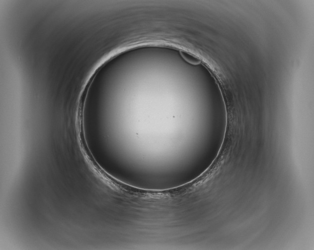 X0000116681526200912141421