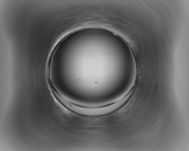 X0000116681527200912141422