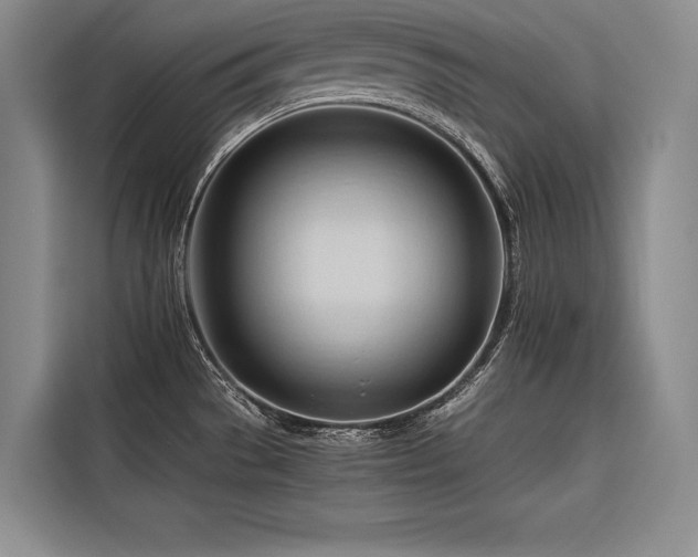 X0000116681529200912141422