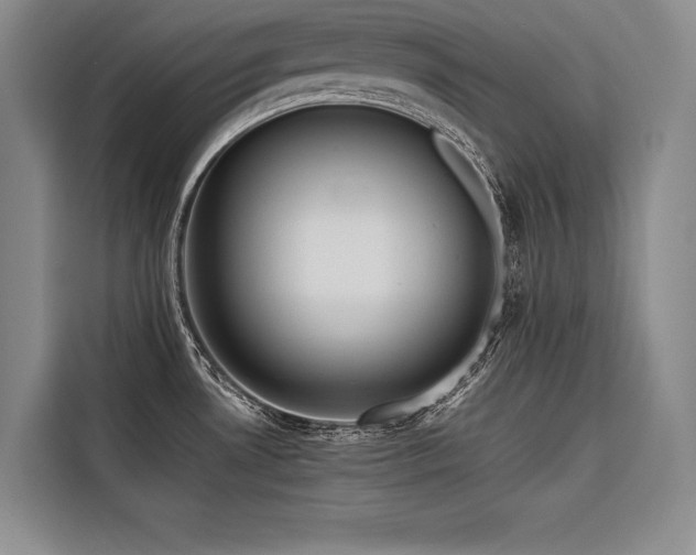 X0000116681530200912141422