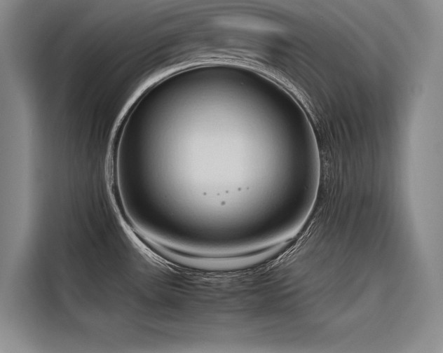 X0000116681531200912141422