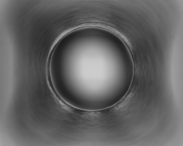 X0000116681533200912141422